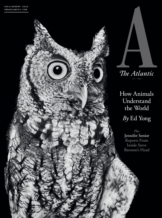 大西洋月刊 The Atlantic-2022-07&08 高清英文版 PDF电子版 网盘下载